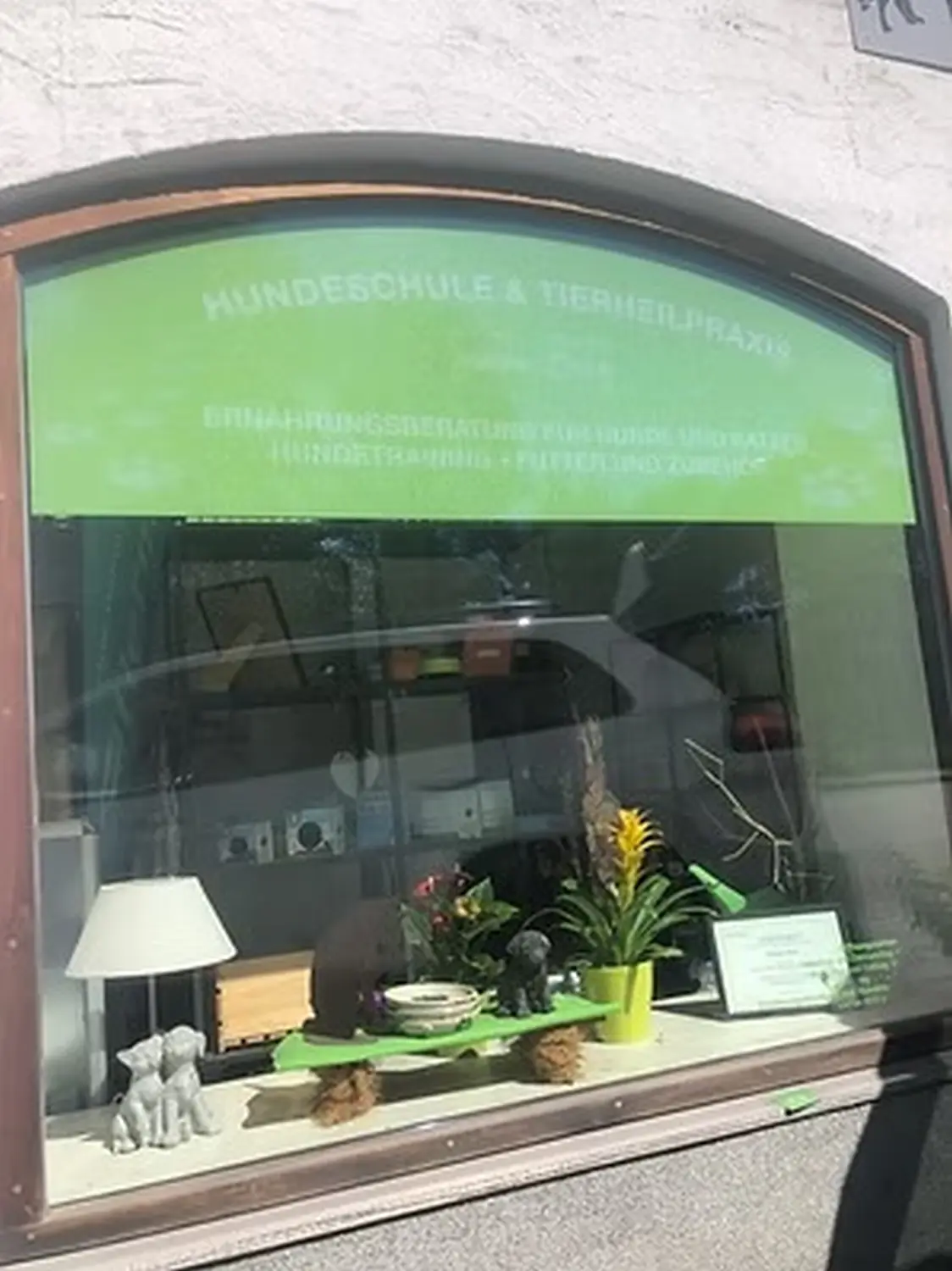 Tierheilpraxis Sabine Beitz – Tierarztfenster