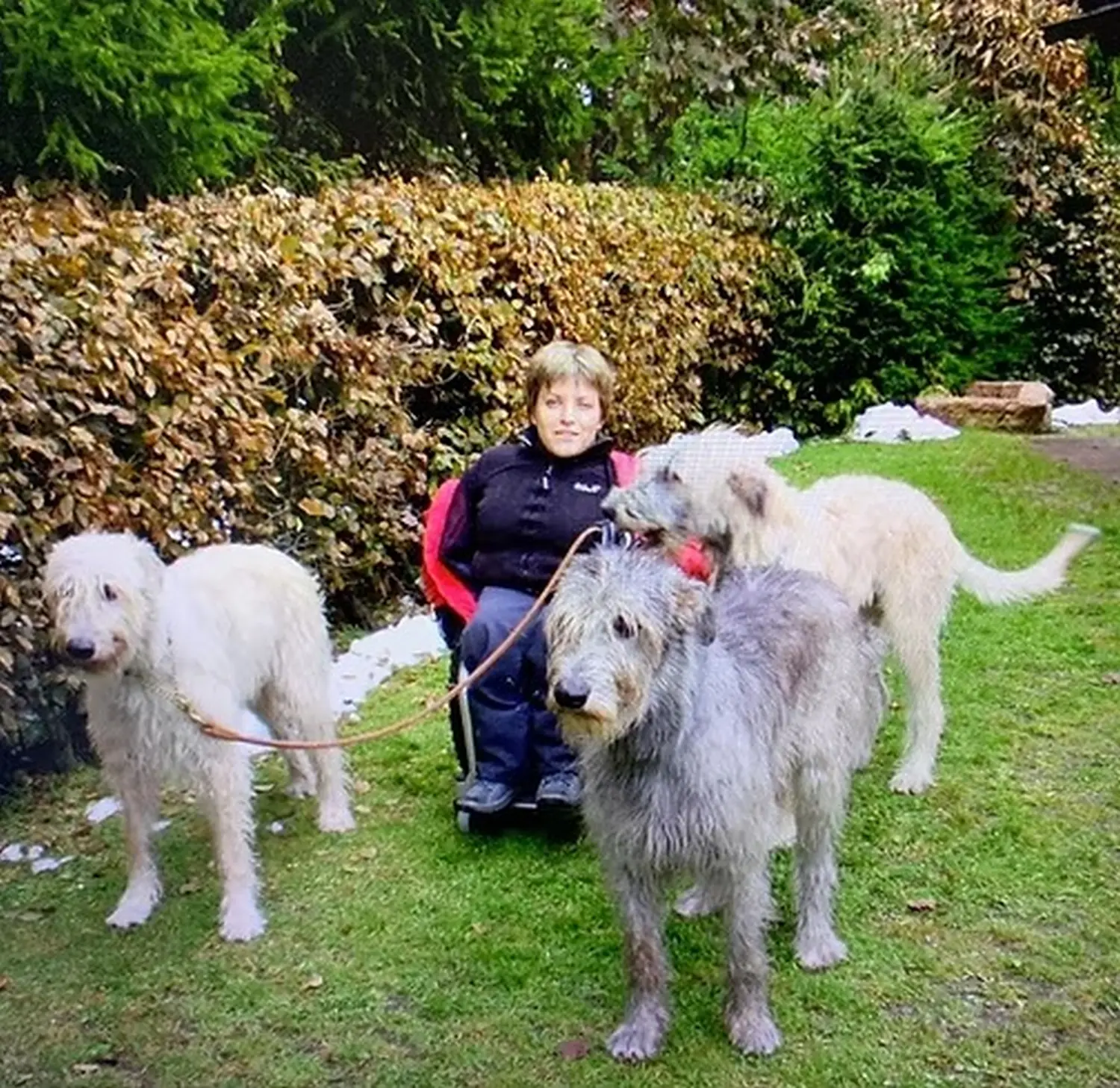 Tierheilpraxis Sabine Beitz - Sabine mit Leni, Fiona und Barack