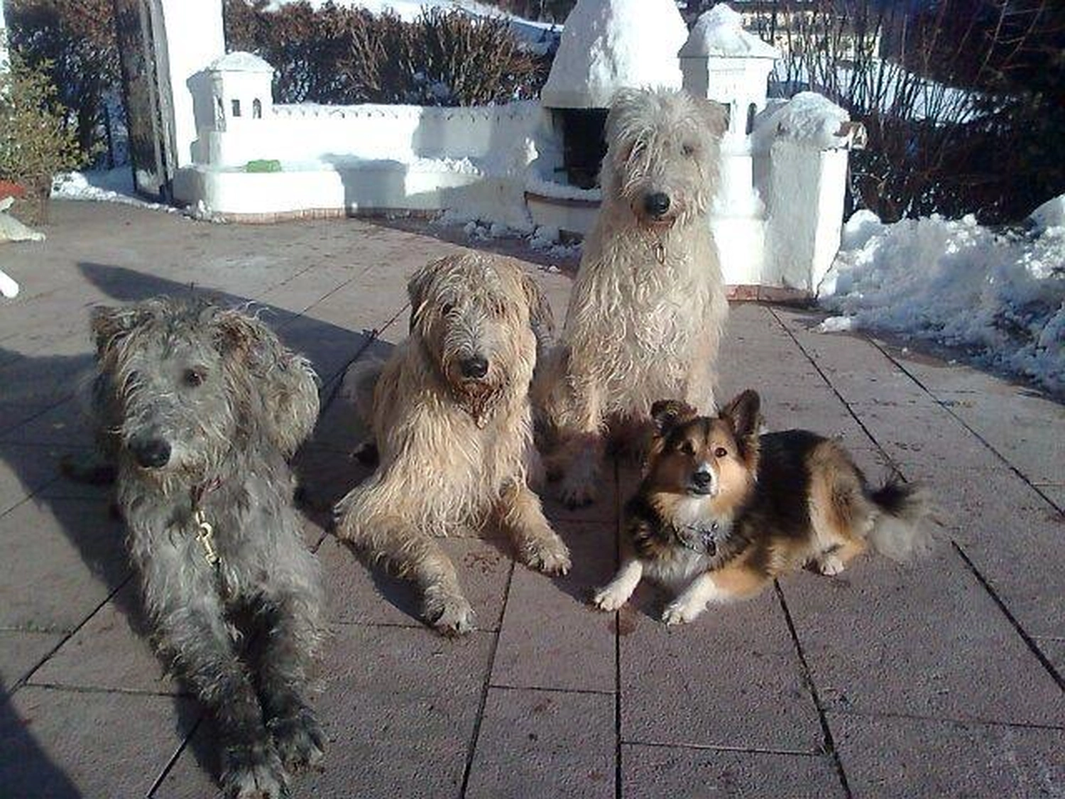 Tierheilpraxis Sabine Beitz - Only mit 8 Monaten im Shop